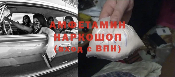 СК Алексин