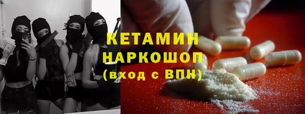 СК Алексин