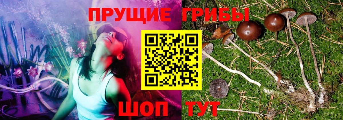 Псилоцибиновые грибы прущие грибы Камышин
