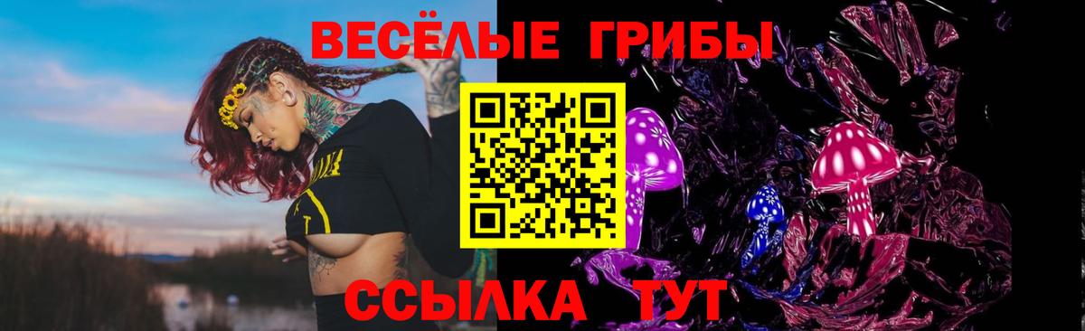 Камышин  Псилоцибиновые грибы Magic Shrooms  Вход с VPN  Псилоцибиновые грибы мухоморы 